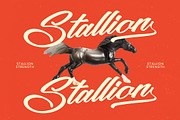 Santos Kulture Modern Calligraphy, a Script Font by stylishtype.co (Thumbnail 4 of 20)
