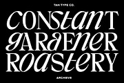 TAN - ARCHIEVE, a Serif Font by TanType (Thumbnail 4 of 11)