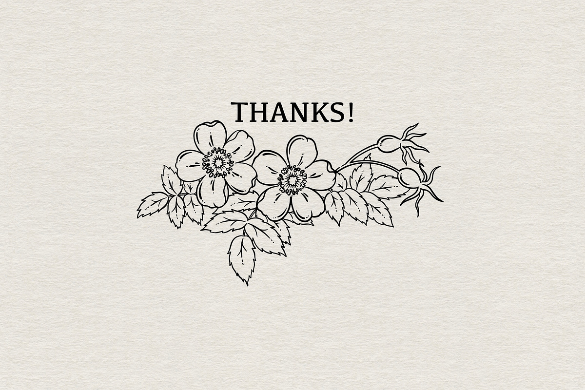 WILD ROSE lineart collection, a Decorative Illustration by heyXeni (Photo 7 of 7)