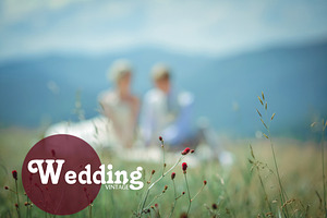 Wedding presets LR style Jose Villa