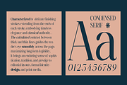 Rigstik – Display Serif Font, a Serif Font by Madjack.font (Thumbnail 8 of 10)