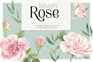 Watercolor "blush Rose" PNG Clipart