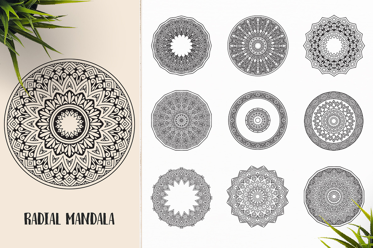 530 Vector Mandala Ornaments, an Animal Illustration by pixaroma (Photo 45 of 55)