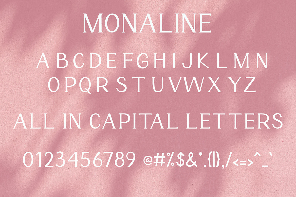 Monaline, a Serif Font by AEN Creative Studio (Photo 8 of 8)