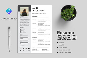 Professional Resume CV Template