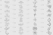 Procreate flower stamp, a Brush Add-On by AnnaPolitmerskaja (Thumbnail 4 of 5)