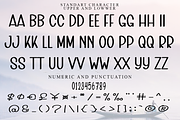 Remember, a Script Font by FreshTypeINK (Thumbnail 6 of 8)