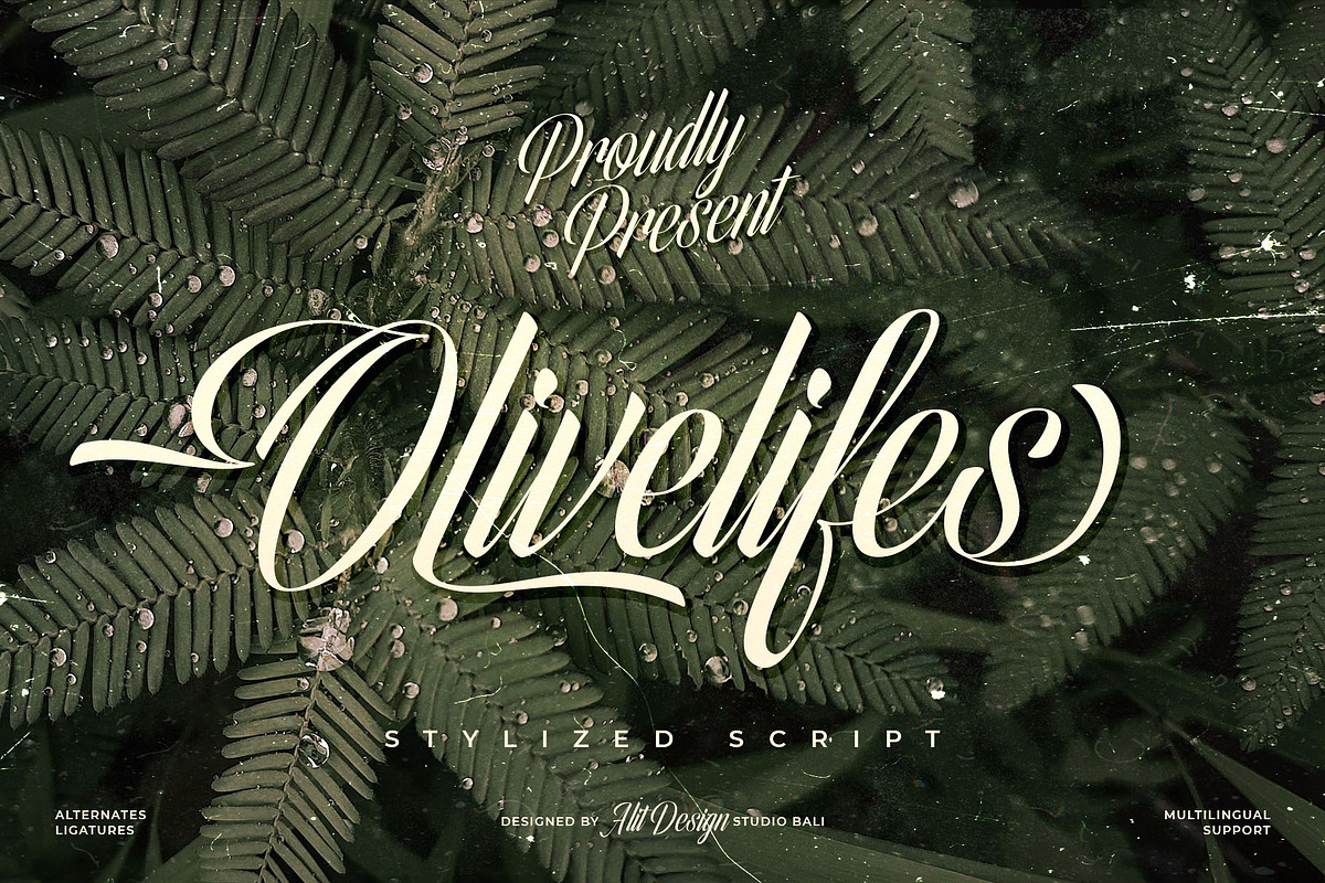 Olivelifes Script Font, a Script Font by alit design (Photo 1 of 15)