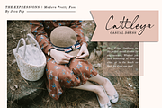 The Expressions / modern pretty font, a Script Font by Java pep (Thumbnail 8 of 16)