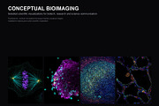 Biomedical Microscopy, a Healthcare Illustration by liravega (Thumbnail 1 of 7)