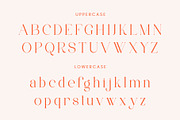 ANNI - Regular & Italic Serif Font, a Serif Font by AnnofaType (Thumbnail 5 of 8)