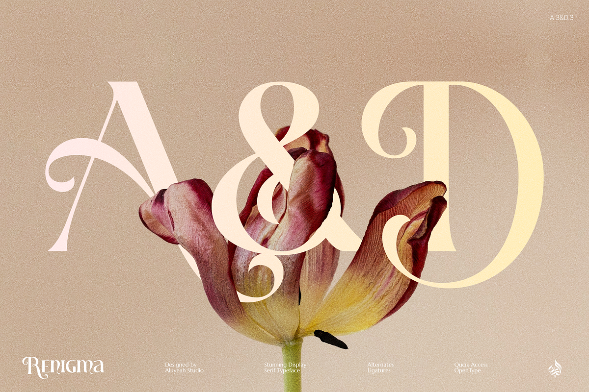 Renigma, a Serif Font by Aluyeah Studio (Photo 4 of 15)