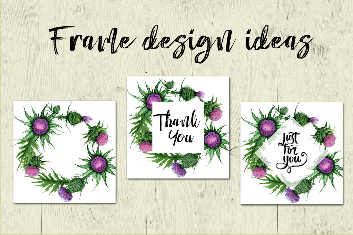 Thistle flowers PNG watercolor set, a Decorative Illustration by WatercolorPNG.com (Photo 7 of 7)