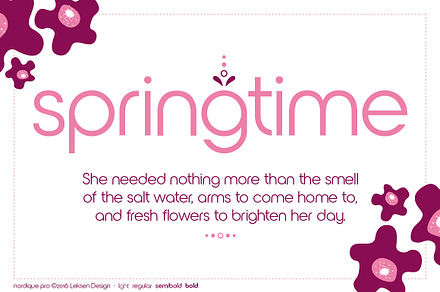 Nordique Pro Regular, a Sans Serif Font by Leksen Design