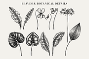 Spring Wildflower Vintage Vector Set, a Seasonal Illustration by Yevheniia (Thumbnail 5 of 9)