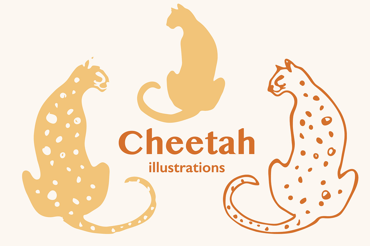Cheetah vector illustrations, an Animal Illustration by Annakaroline
