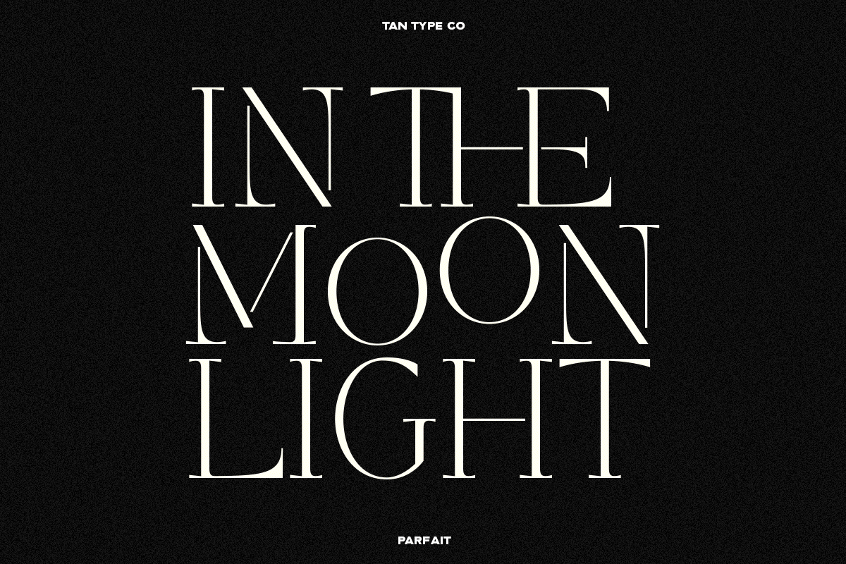 TAN - PARFAIT, a Serif Font by TanType (Photo 15 of 21)