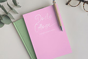 The Angellica - Calligraphy Font, a Script Font by StringLabs (Thumbnail 6 of 13)