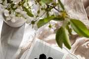 Modern Minimal Save the Date, an Invitation Template by LucaTheme (Thumbnail 3 of 6)