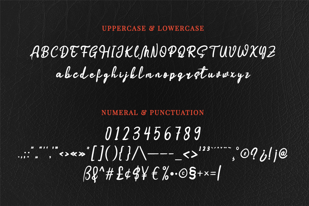 Boostnia, a Script Font by twinstd (Photo 15 of 16)