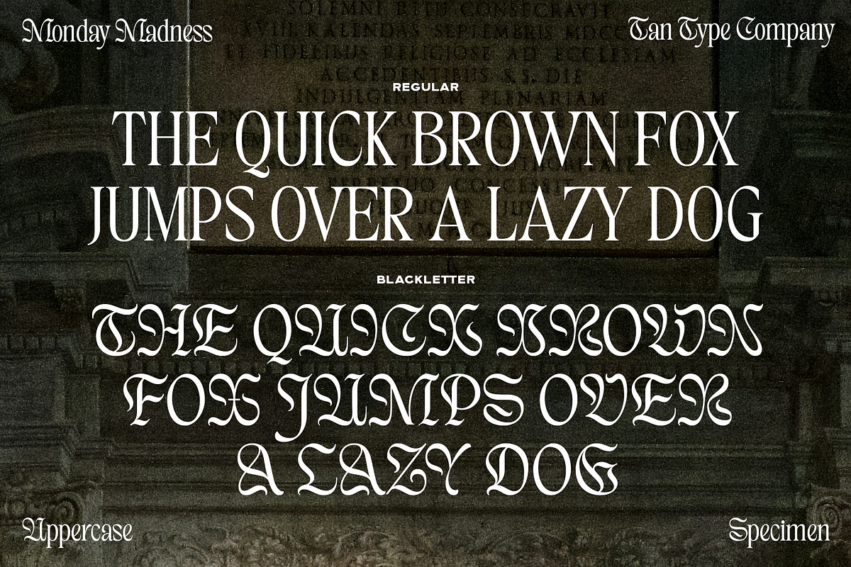 TAN - MONDAY MADNESS, a Blackletter Font by TanType (Photo 11 of 13)