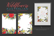 Wildflowers Australian Design Set, an Illustration by Sketchbook Designs (Thumbnail 10 of 11)