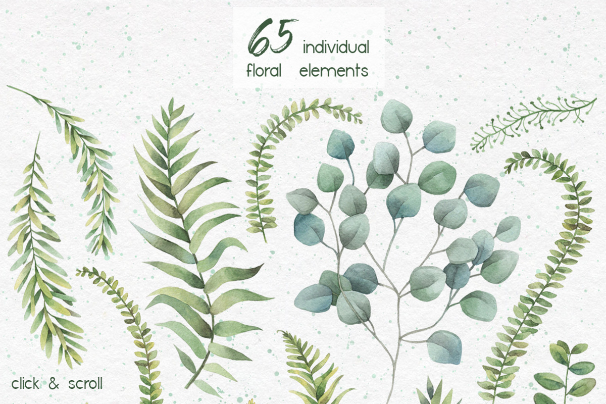 Watercolor herbs. Clipart collection, an Illustration by Anastasia Koba (Photo 6 of 9)