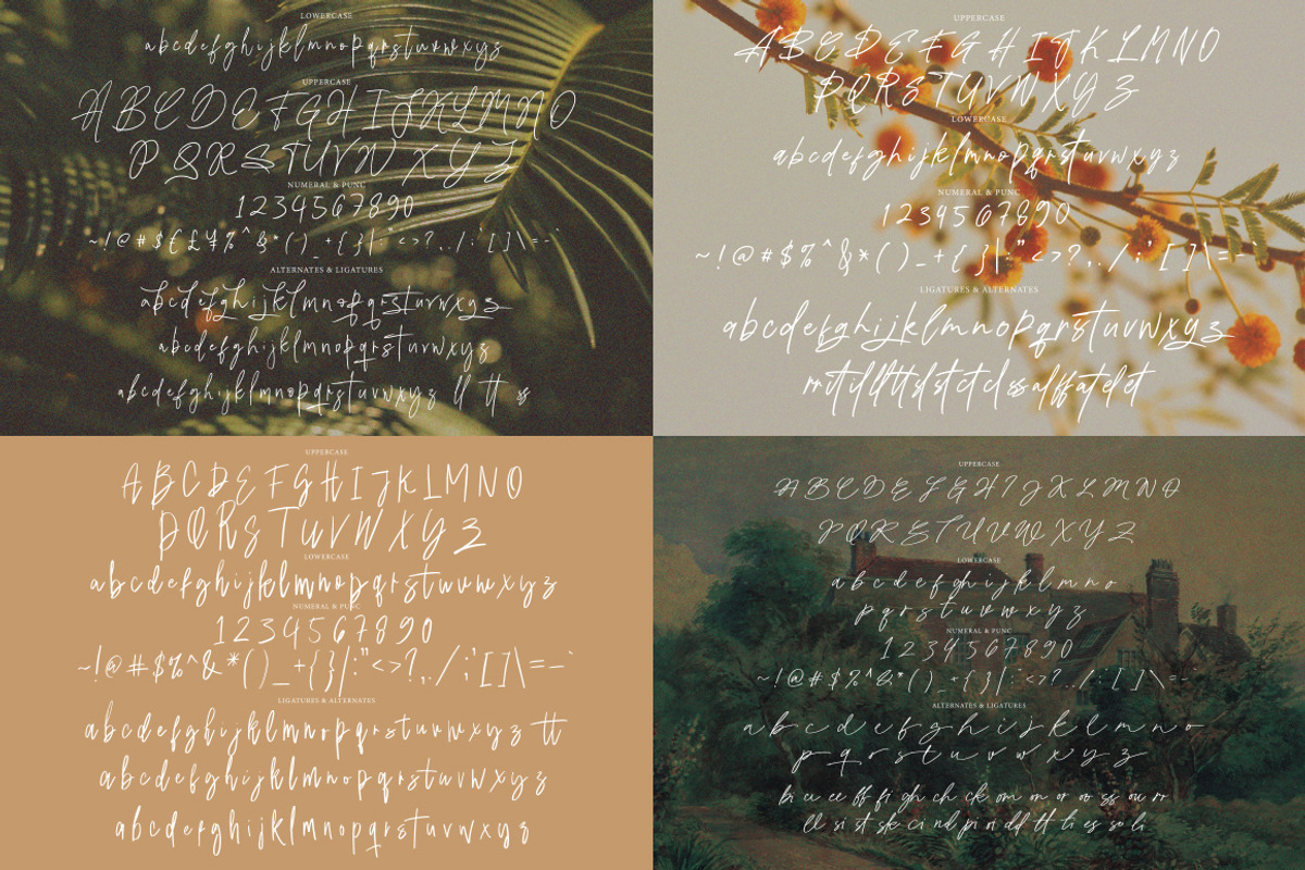 Casual Signature Font Bundles, a Handwritten Font by tebaltipislab (Photo 36 of 46)