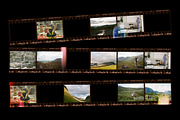 Contact Sheet Film Roll Mockup, a Product Mockup by Bolderaja1 Studio (Thumbnail 7 of 10)