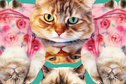 Not Yoga Cats, an Animal Illustration by TheCuteShop (Thumbnail 9 of 17)