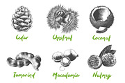 Set of 44 organic food objects, a Decorative Illustration by Akimo Mia (Thumbnail 7 of 10)