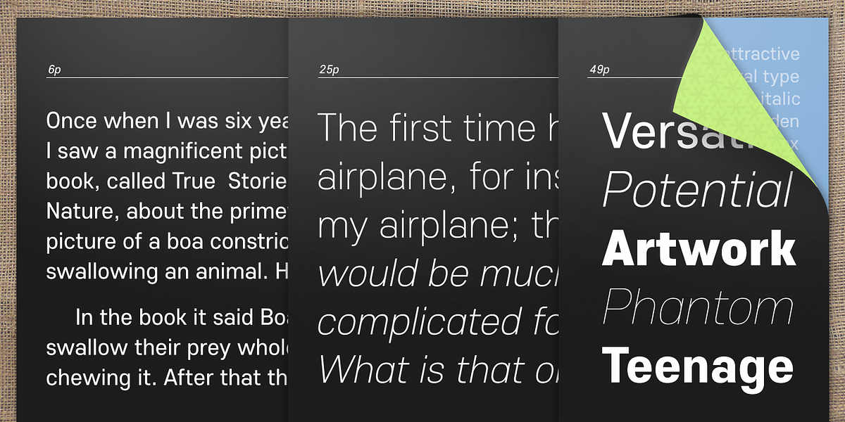 Core Sans E, a Sans Serif Font by S-Core (Photo 4 of 5)