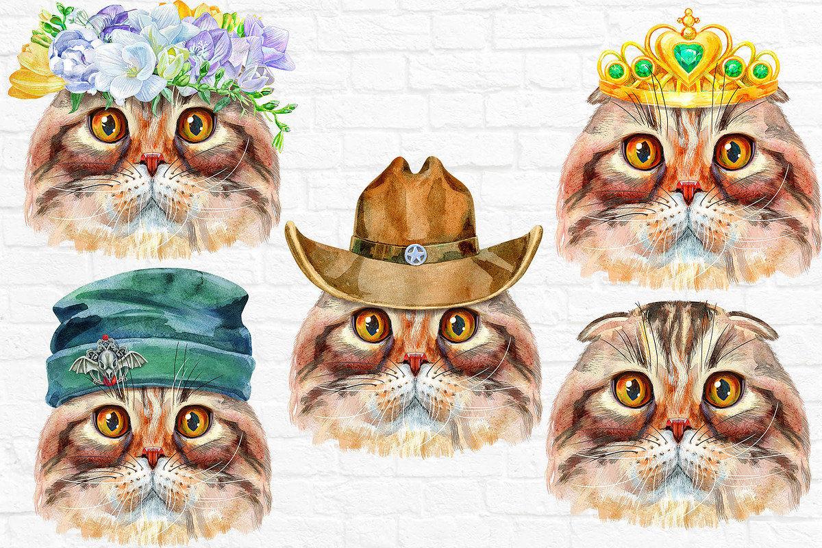 Portrait of Highland fold cat, an Animal Illustration by Watercolor fantasy (Photo 5 of 5)