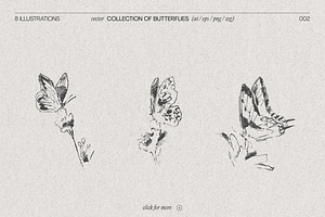 Drawings Of Butterflies