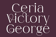 Imperial Aureas a Minimal Serif, a Serif Font by Lettertype Studio (Thumbnail 15 of 16)