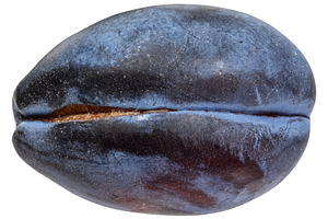 A ripe blue plum with a waxy bloom and textured skin