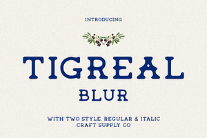 Tigreal Blur, a Serif Font by Craft Supply Co.