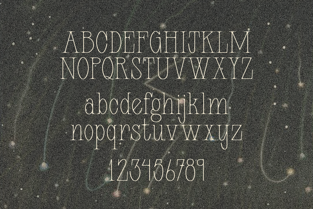 OPHIDIA Typeface, a Serif Font by Few & Fahr Studio (Photo 2 of 7)