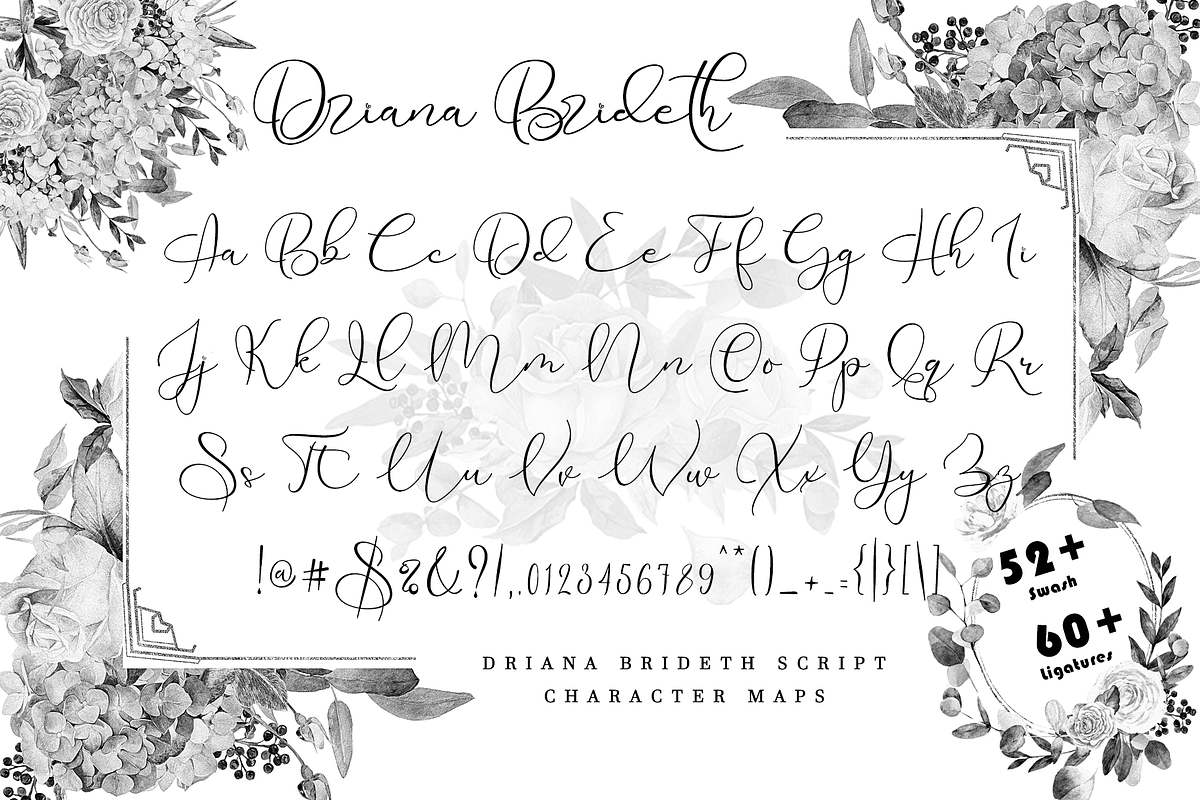 Driana Brideth, a Script Font by Aldedesign (Photo 8 of 10)