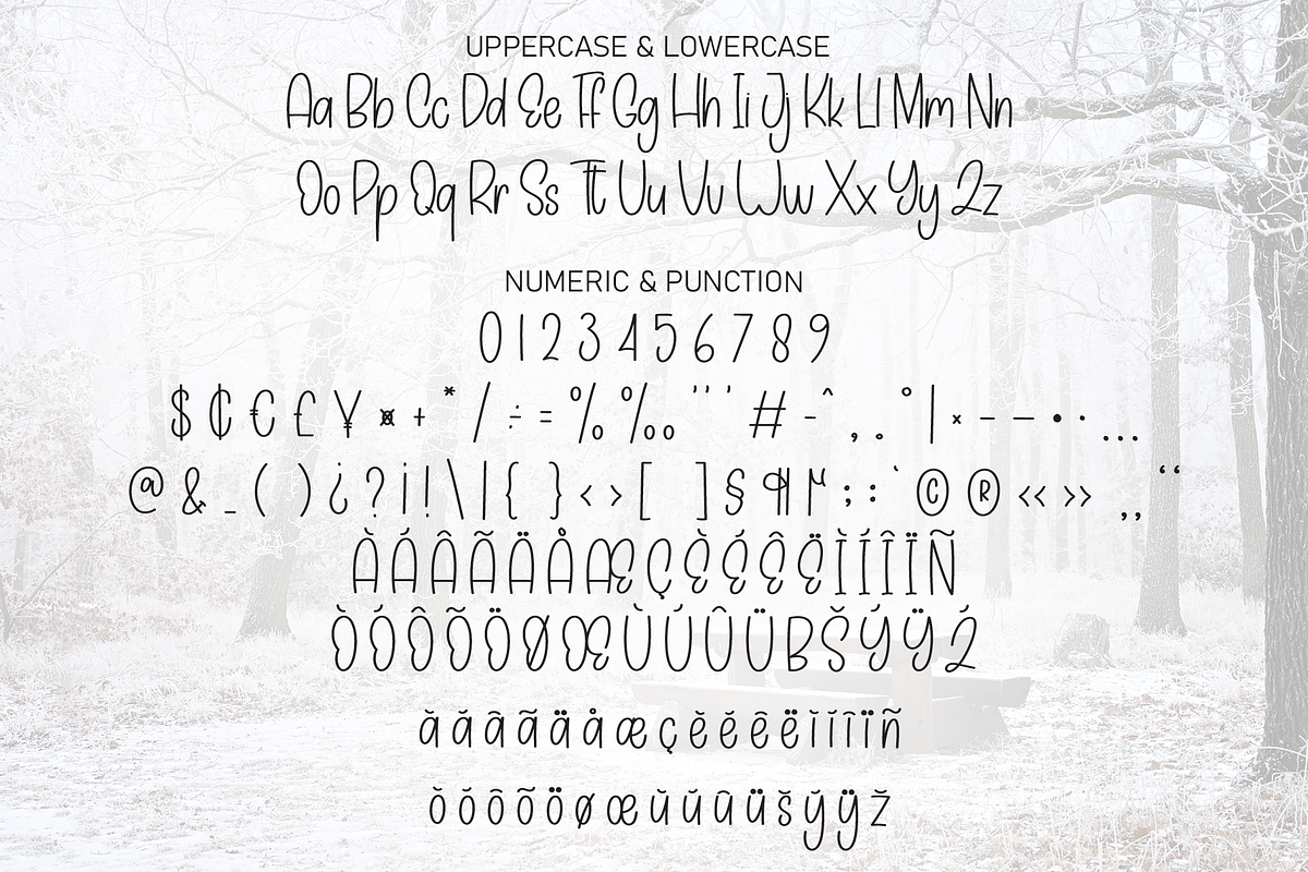 Snowing Outside | Script Font, a Script Font by Scratchones (Photo 7 of 8)