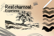 20 Realistic Charcoal Brushes Pack, a Brush Add-On by badrusblue (Thumbnail 2 of 4)