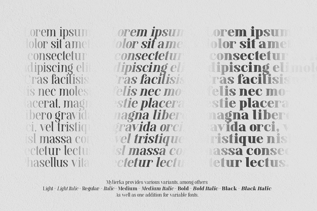 Mylierka - Serif Font (11 Fonts), a Serif Font by Maculinc Type (Photo 4 of 15)