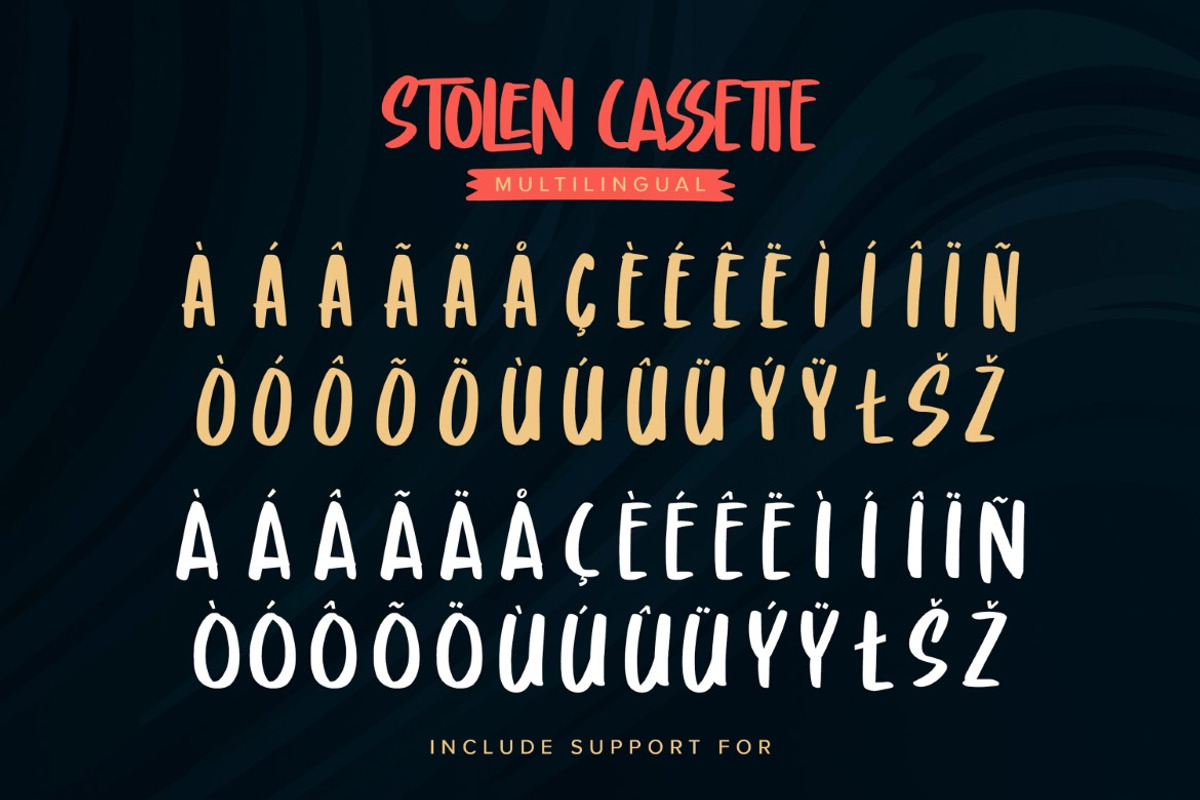 Stolen Cassette - Playful Display, a Script Font by Gassstype (Photo 6 of 8)