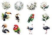 Tropical clipart bundle, an Illustration by Designworld (Thumbnail 3 of 5)