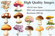 Watercolor Edible Mushrooms Clipart, an Illustration by Craft Nest (Thumbnail 2 of 6)