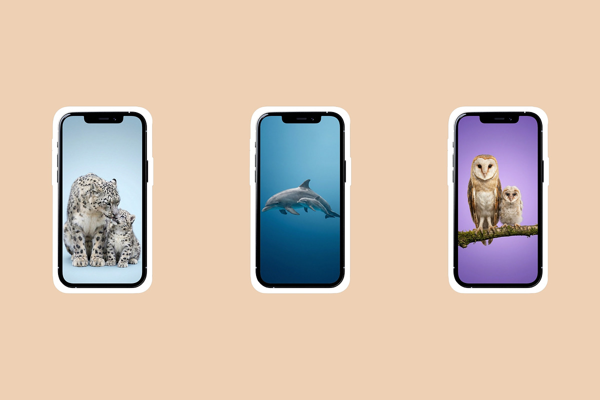 Wild Icons. Animals parents., an Animal Photo by AI Petr Creative Agency (Photo 6 of 7)