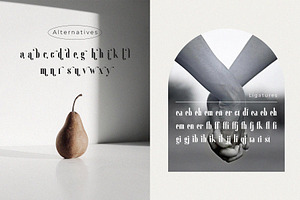 Gailanie // Stylish Ligature Font