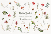Winter Garden Watercolor Collection, a Seasonal Illustration by MariaScaroniAtelier (Thumbnail 3 of 6)