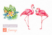 Tropics.Watercolor collection, an Animal Illustration by Ekaterina Mikheeva (Thumbnail 3 of 7)