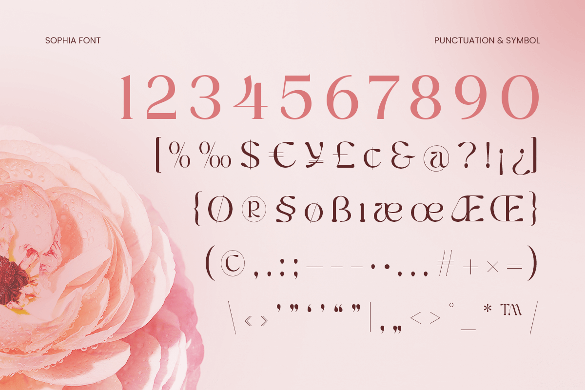 Sophia - Beauty Lovely Swash Font, a Serif Font by Sensatype (Photo 11 of 12)